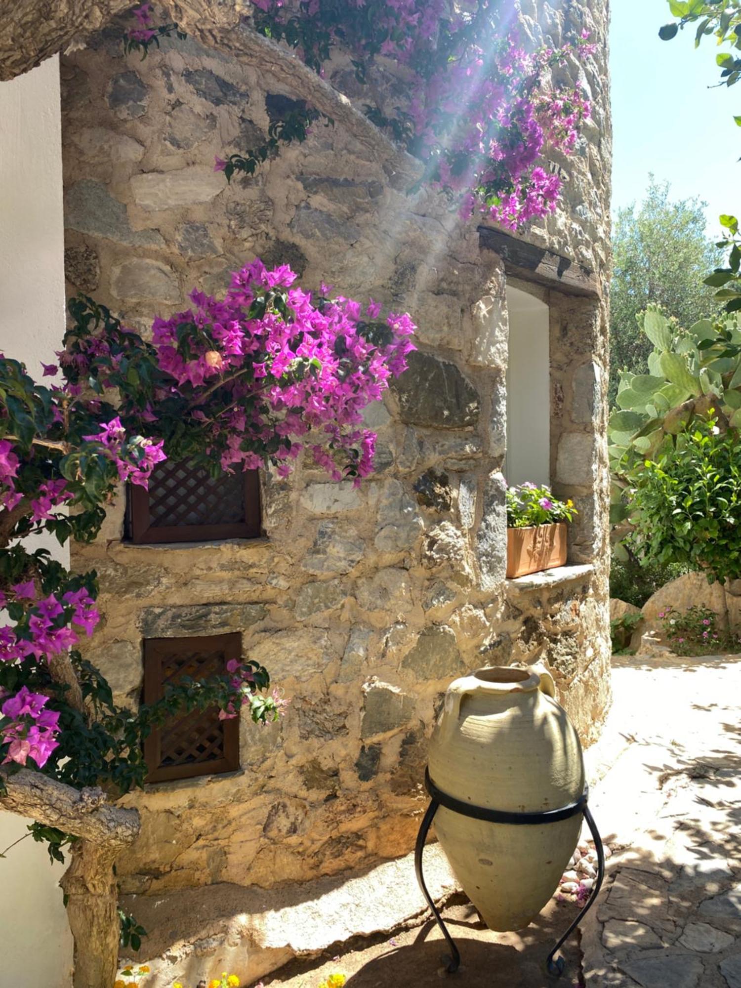 Hotel Villa Tokur Datça Eksteriør billede